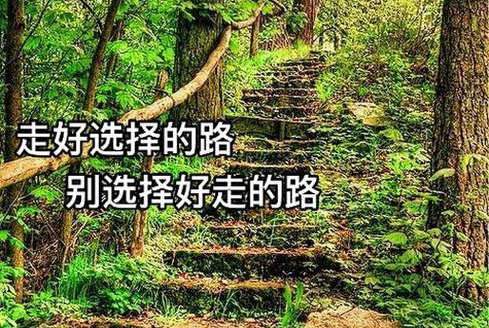 人生路不容易的短语、人生路不容易的短语说说