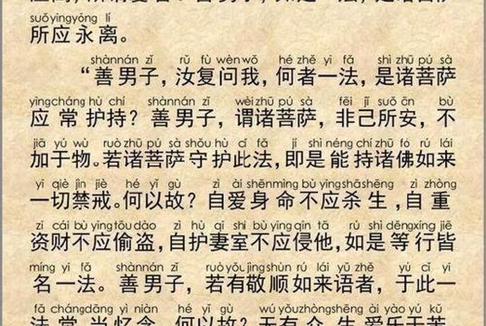 老人佛经大全、老人佛经大全视频