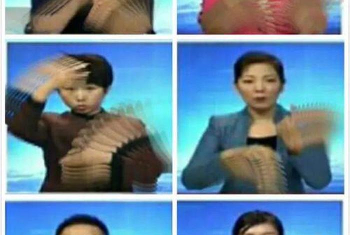 中央几台有手语（央视有手语的新闻叫什么）