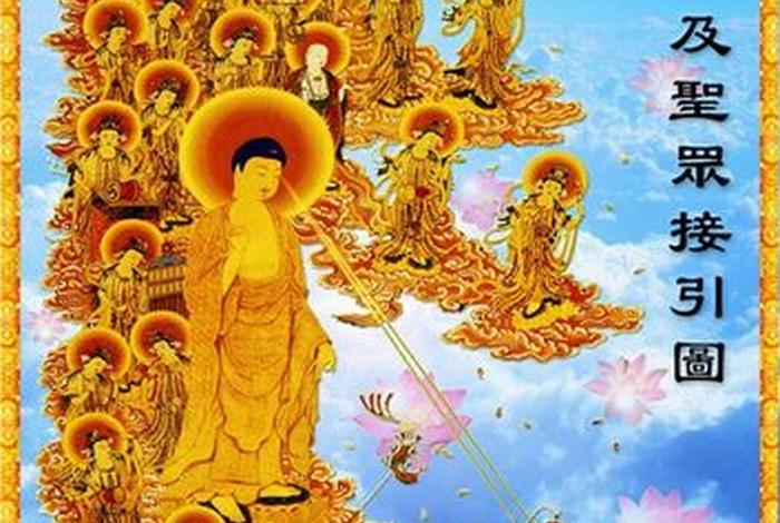 佛教知识免费下载网站大全视频 - 佛教网站下载安装