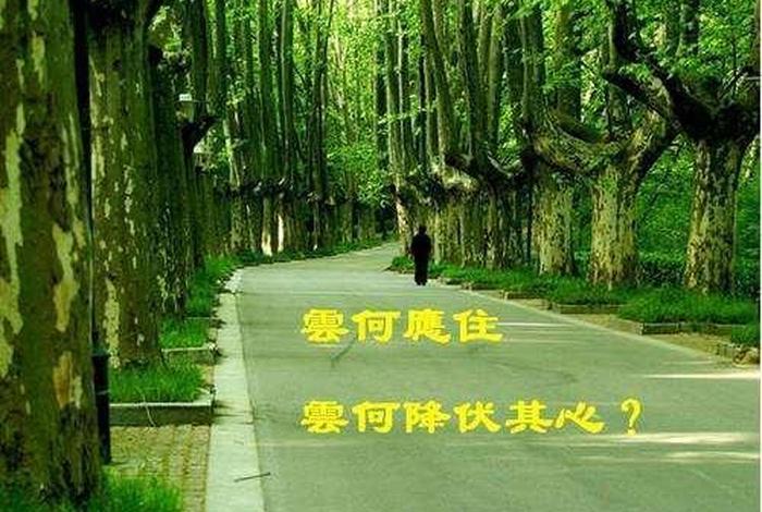 佛说一切自知一切心知（一切自知 一切心知）