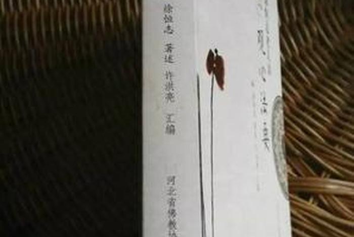 徐恒志老人讲观心法要；徐恒志开示