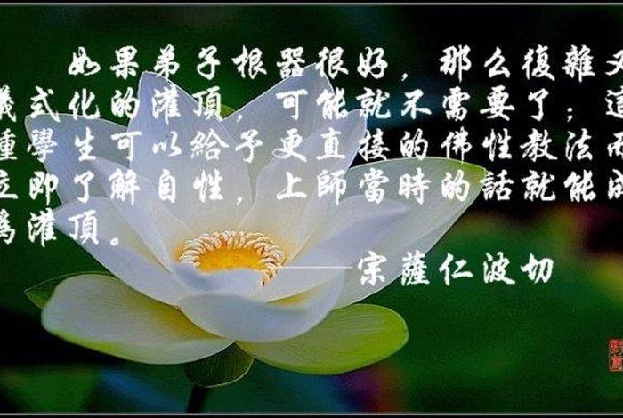 业力 佛教（业力 佛教用语）