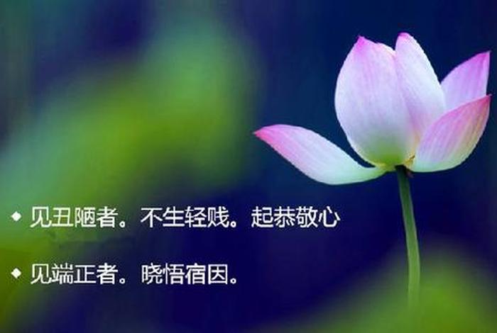佛学中什么叫恭敬心，什么是恭敬心