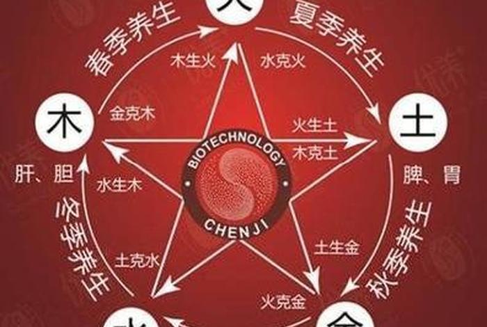 佛教养生与道家养生的不同 - 佛学与养生