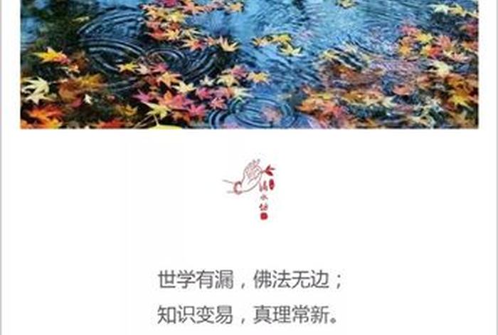 佛教无漏智慧力是什么，无漏智慧来自无漏的心