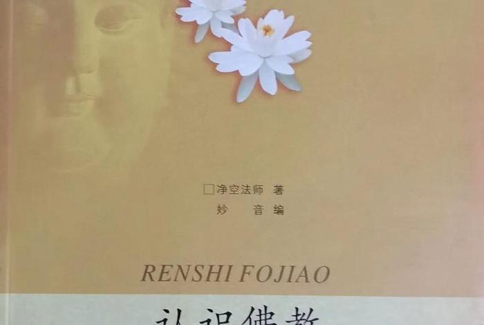 认识佛教视频 认识佛教视频教程