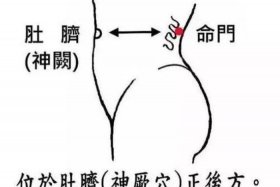 命门是什么、命门是什么脏腑