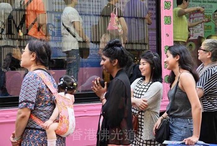 给外国人介绍佛教；老外佛教徒