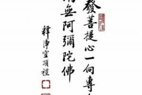 佛教发菩提心什么意思，发菩提心就是菩萨