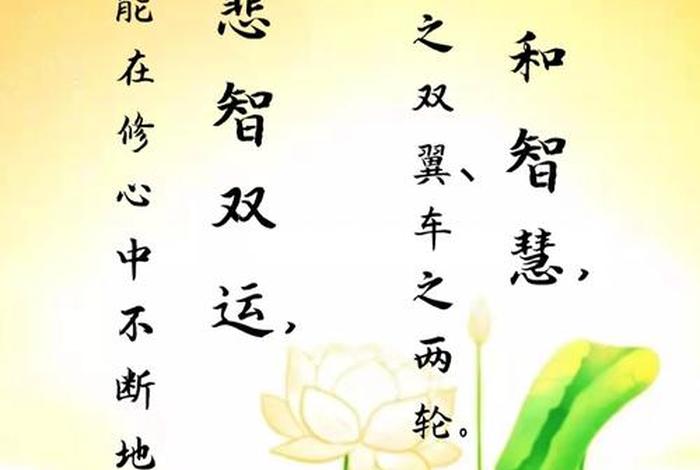 心 佛法；心佛法成语