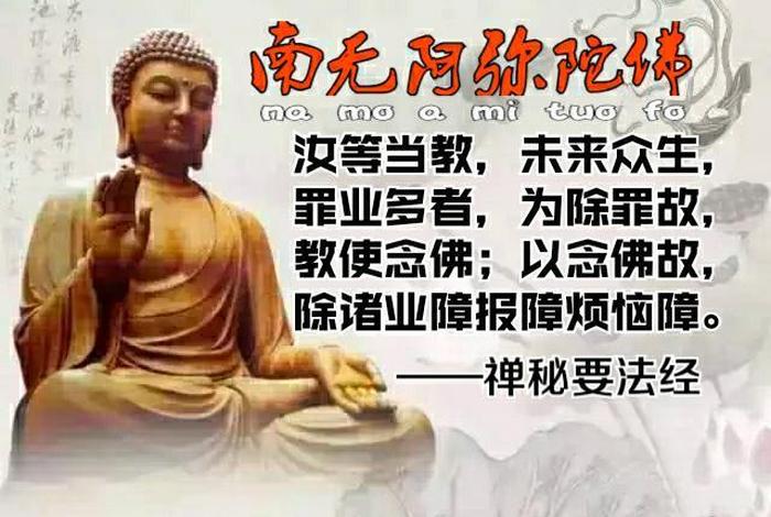 佛说贪睡的原因（佛说贪吃贪睡的业障）