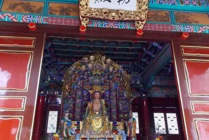 寺庙佛教小知识大全视频下载（寺庙佛教小知识大全视频下载软件）