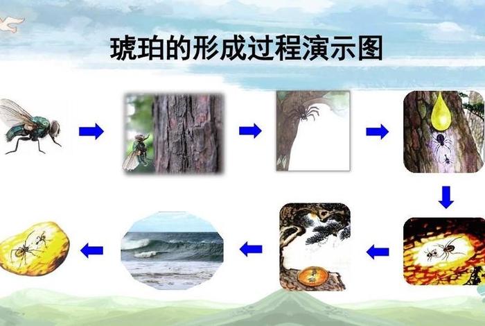 琥珀故事民间传说、琥珀有关的故事或演变过程