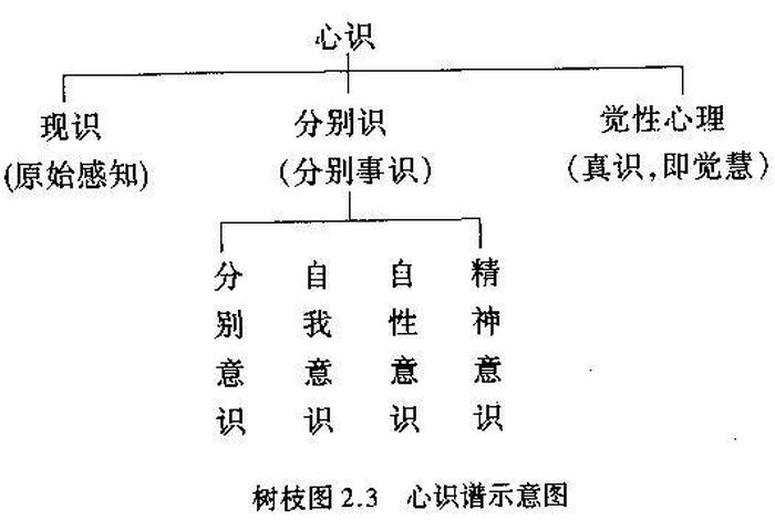 佛教的五蕴是什么意思？、佛学里五蕴是什么
