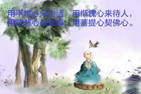 佛教慈悲与菩提心区别（佛教慈悲与菩提心区别是什么）