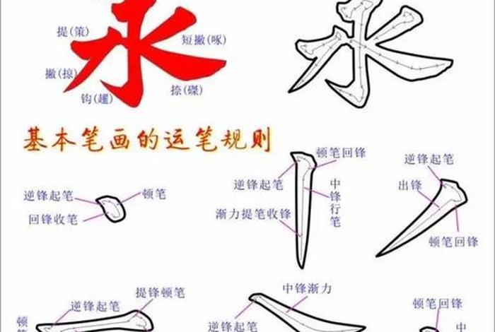 毛笔字知识、毛笔字基础知识