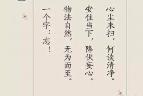 佛教静心语录100句 佛教静心语录100句图片