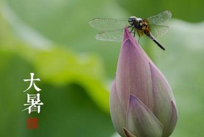 大暑佛教；大暑处暑