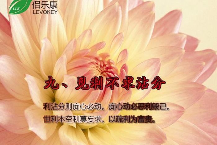 佛教的养生理念（佛教的养生理念是什么）