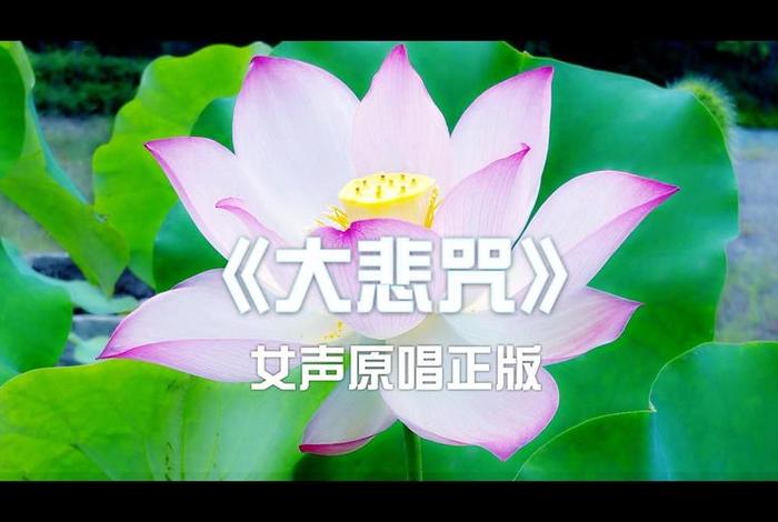 佛教歌曲大悲咒、佛教歌曲大悲咒30分钟完整版视频