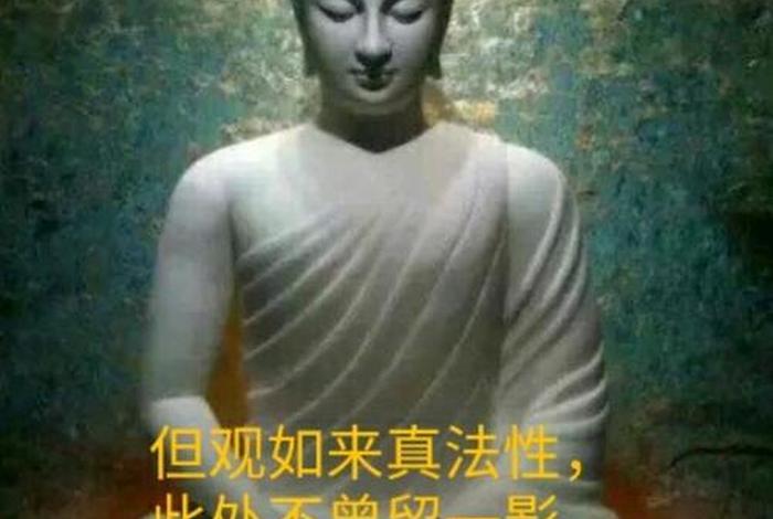 如来关于修行之法的讲解；如来修为