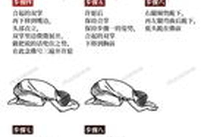 关于礼佛的基本知识；礼佛入门知识