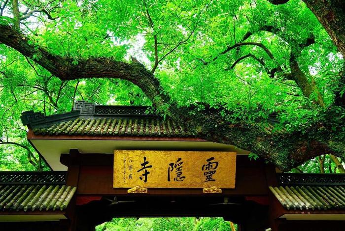 佛教十大误区 佛教 错误