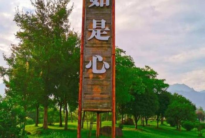 自心一处啥意思、自心 囍