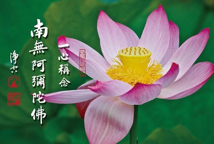 佛学中什么叫恭敬心，什么是恭敬心
