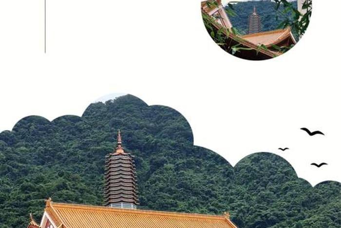佛教知识小程序大全图片，佛教知识小程序大全图片下载