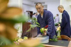 佛教文化视频课 佛教教育视频