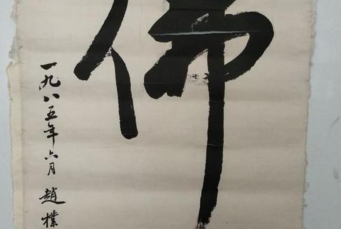 赵朴初佛教视频、赵朴初信佛