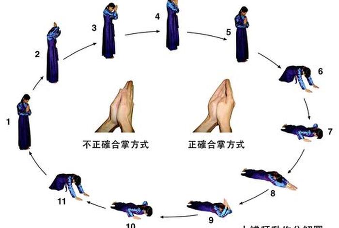 关于佛教的礼仪知识有哪些内容 - 关于佛教的礼仪知识有哪些内容呢