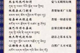 佛教发愿文正确写法、佛教发愿文是什么意思