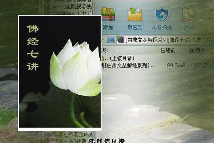 佛教佛经讲解的视频，佛经讲座视频教程