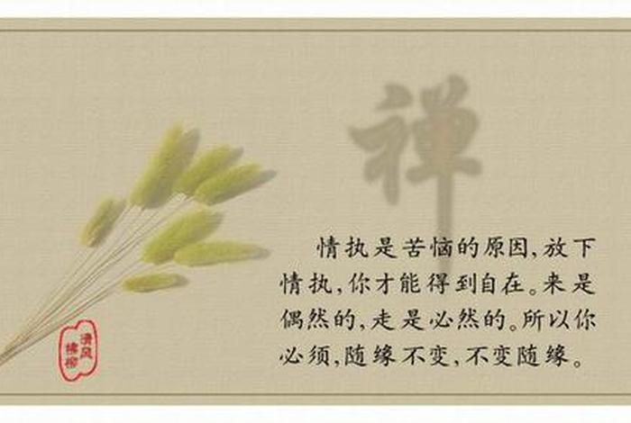 解读佛学智慧禅语（佛学智慧禅悟人生）