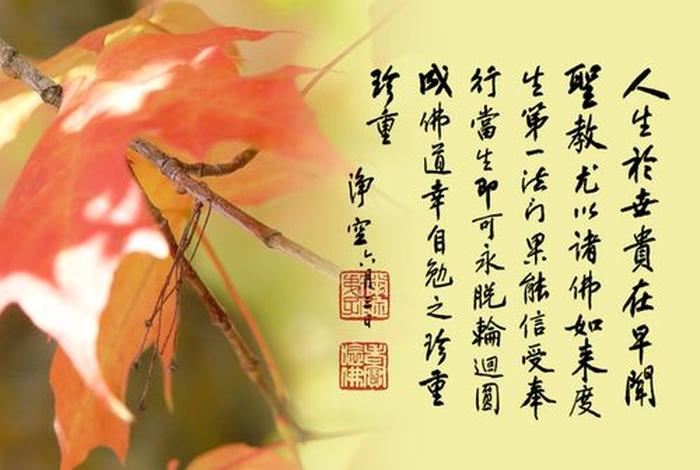 佛学禅语的微博；佛家微博