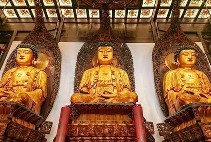丛林寺院的佛学常识是什么、丛林寺院的佛学常识是什么意思