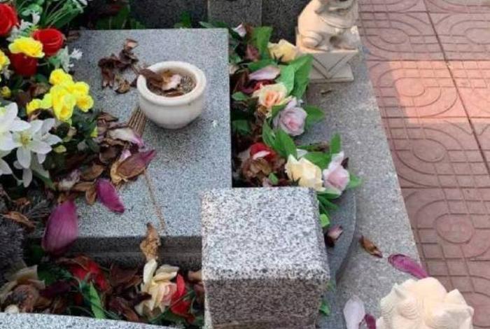 墓地前放什么好 墓前可以放什么盆栽