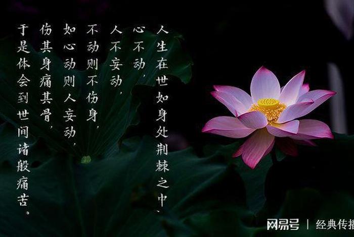 佛法修心视频，修心佛学