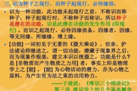 佛教唯识论（佛教唯识什么意思）