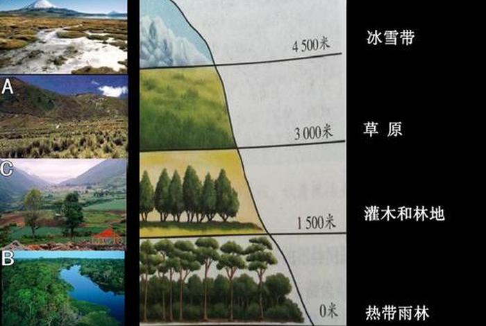 什么是十方丛林 - 十方丛林怎么区分