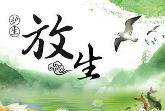 佛教上说的放生，佛教上说的放生是啥意思