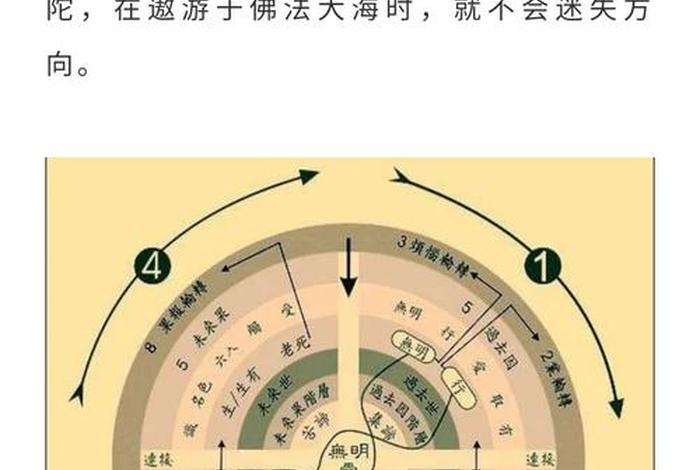 佛教因果知识视频大全（佛教因果知识视频大全讲解）