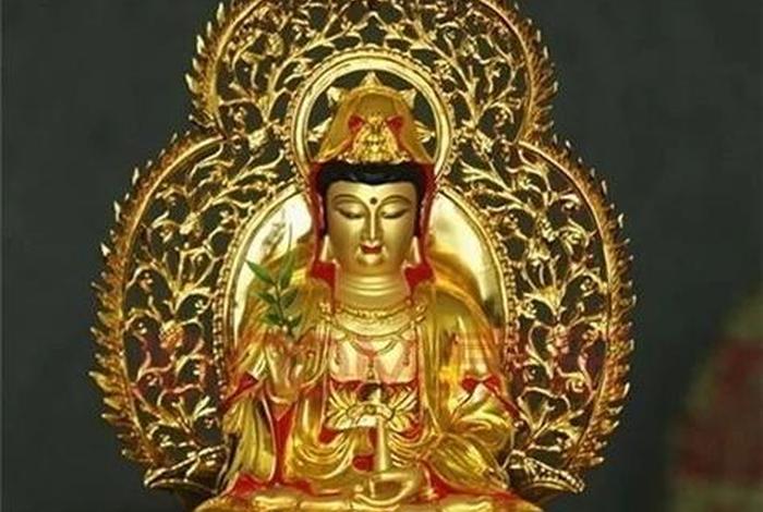 佛教中关于业的4个特点；佛教里面的业是什么意思