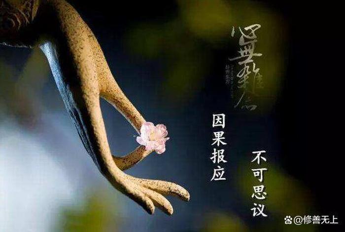 修善无上什么意思、修善为上