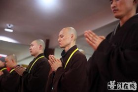 佛教威仪基础知识大全 佛教威仪展具视频