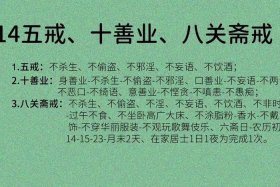 佛法中的十善业是什么（佛说十善业道经是什么法门）