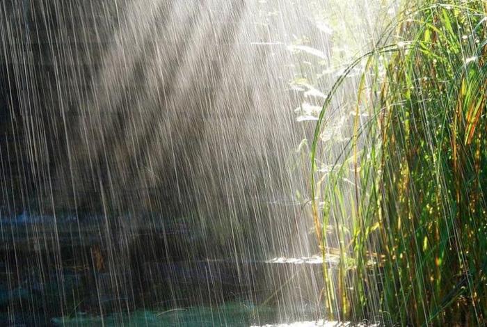 及时之雨藏传佛教、及时雨出自哪里
